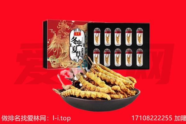 六安市霍山回收虫草.jpg